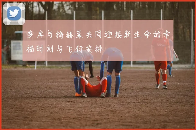 多库与梅赫莱共同迎接新生命的幸福时刻与飞行安排